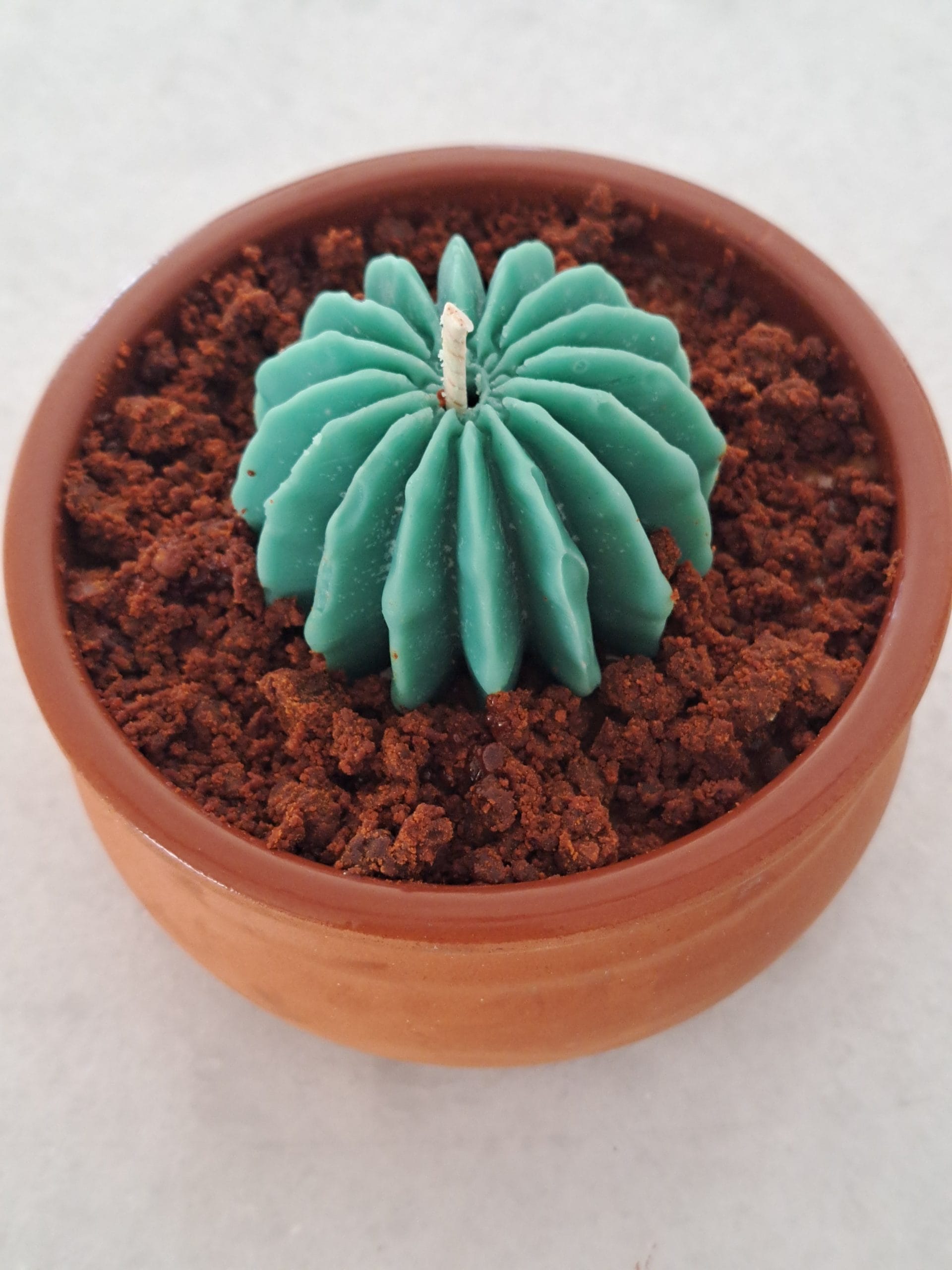 Cactus candle
