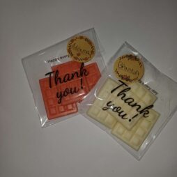 Wax melts little bars