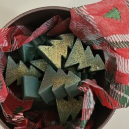 10 μικρά wax melts Χριστούγεννα- μελομακάρονο, ή τζιντζερ bread