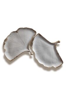 Δίσκος Leaf