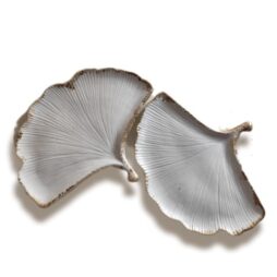 Δίσκος Leaf