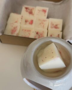 Wax Melts (10αδα)