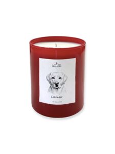 Pet Collection – Αρωματικό Κερί Σόγιας Red Gloss