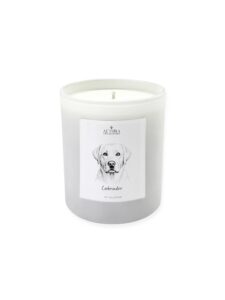 Pet Collection – Αρωματικό Κερί Σόγιας White Matte