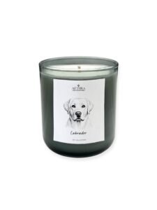 Pet Collection – Αρωματικό Κερί Σόγιας Smokey Grey