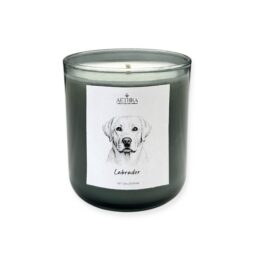 Pet Collection – Αρωματικό Κερί Σόγιας Smokey Grey
