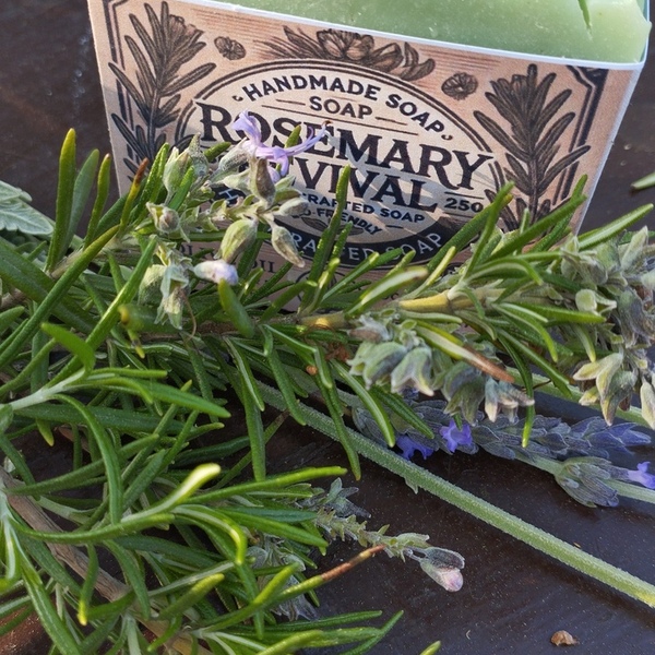 Σαπούνι ελαιόλαδου - Rosemary Revival