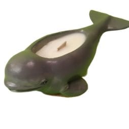 Κερί Δελφίνι 